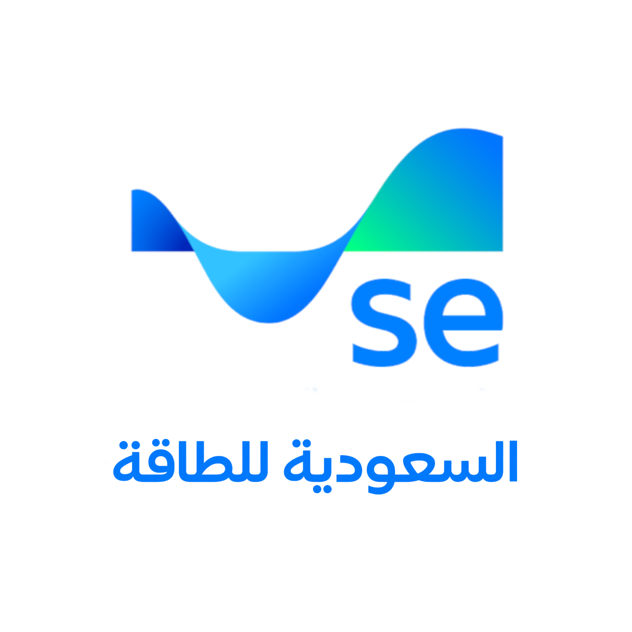 logo1