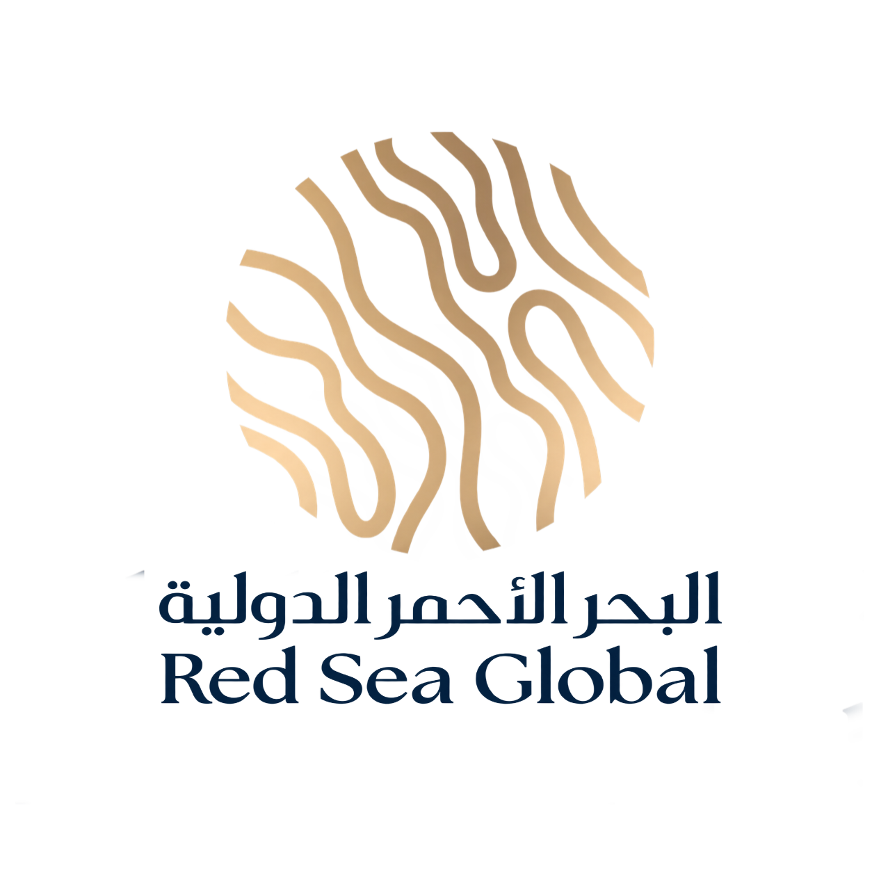 logo6